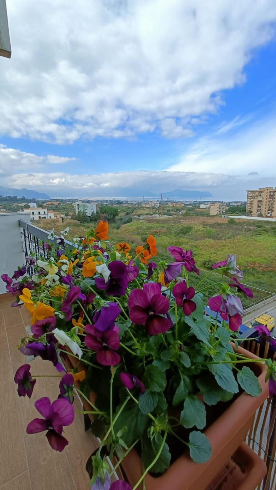 B&B Margherita Багерия Екстериор снимка